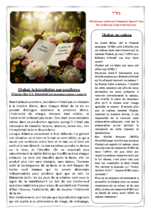 oneg-chabat-282